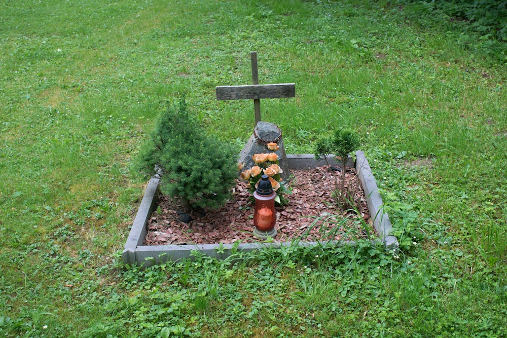 Why You Shouldn T Bury Your Pet In The Backyard