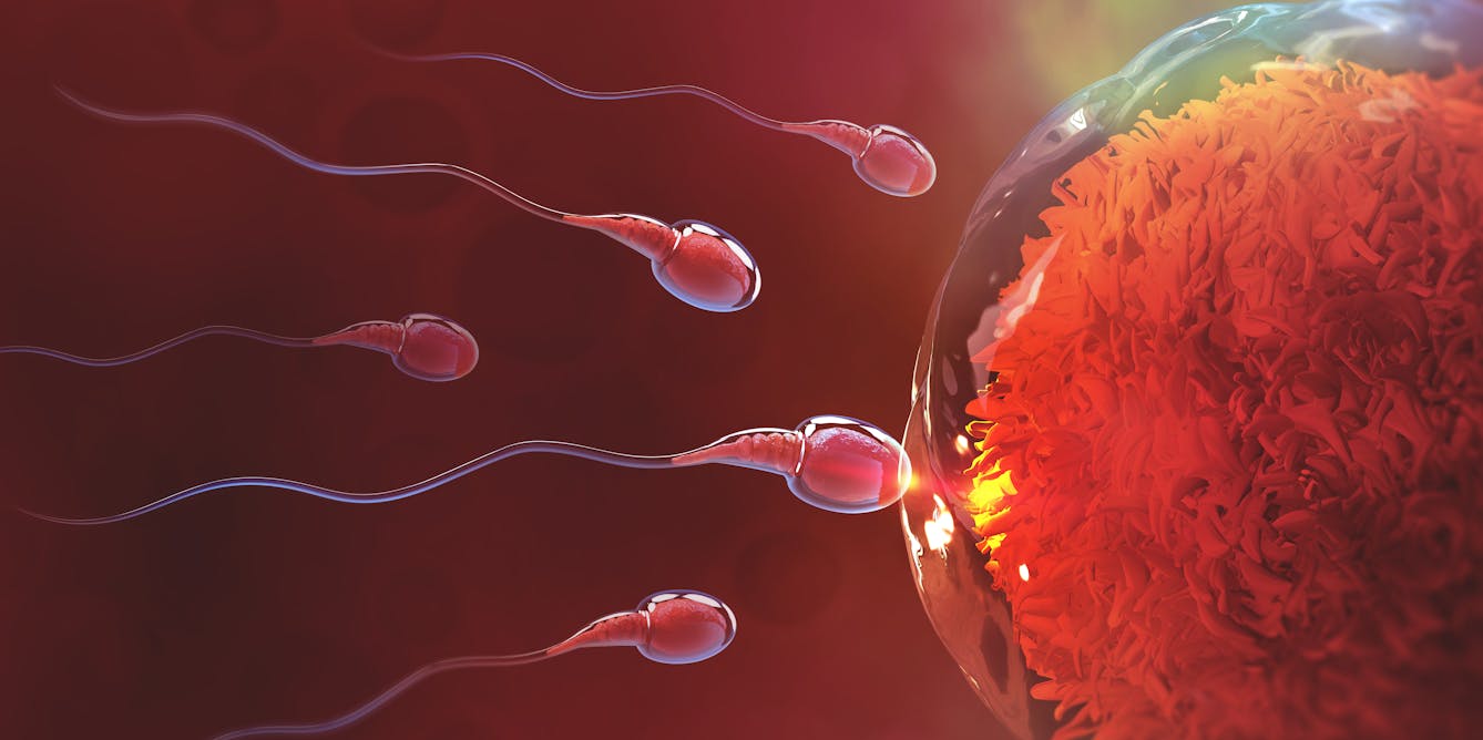 How We Solved The Mystery Of The Human Sperm Tail And What It Could 