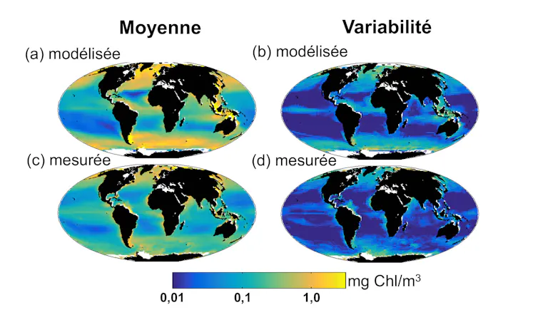 What ocean color reveals about climate change | Sorbonne Université ...