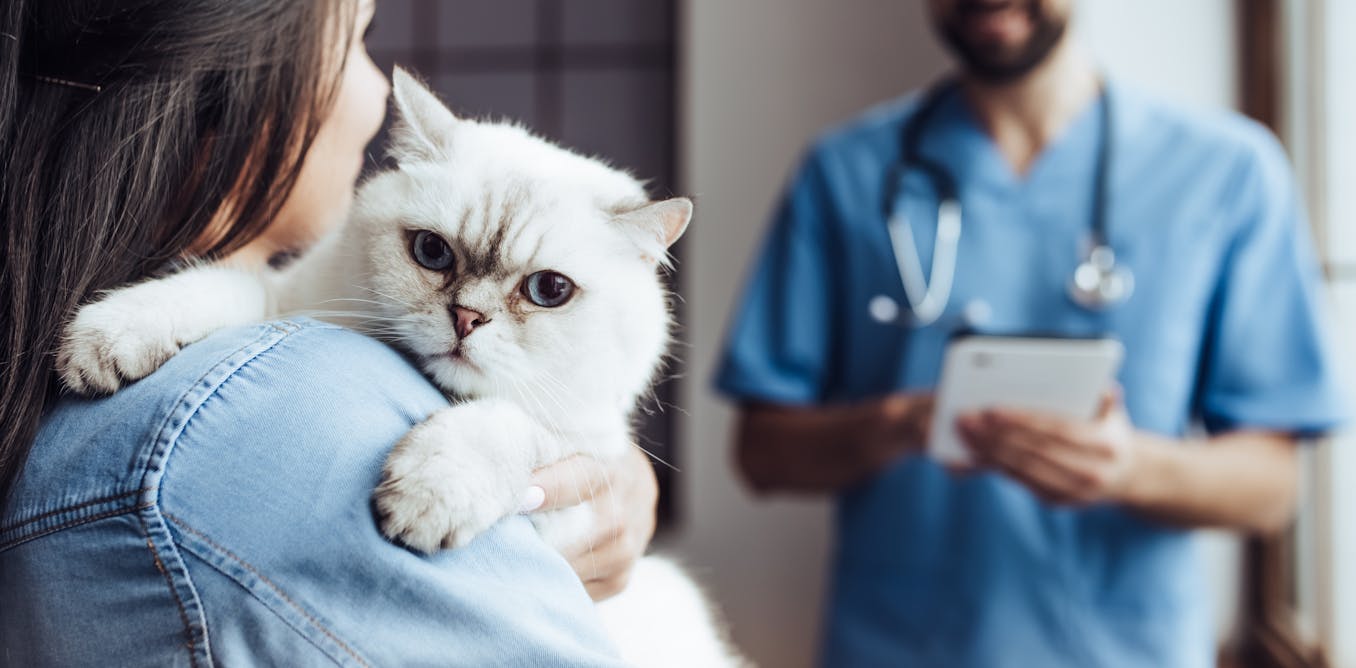 goddard veterinary group chalfont st peter lower road chalfont saint peter gerrards cross