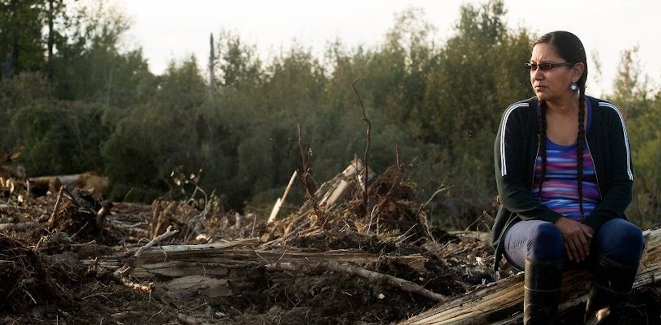 Law professor put on trial for 'trespassing' on family's ancestral lands