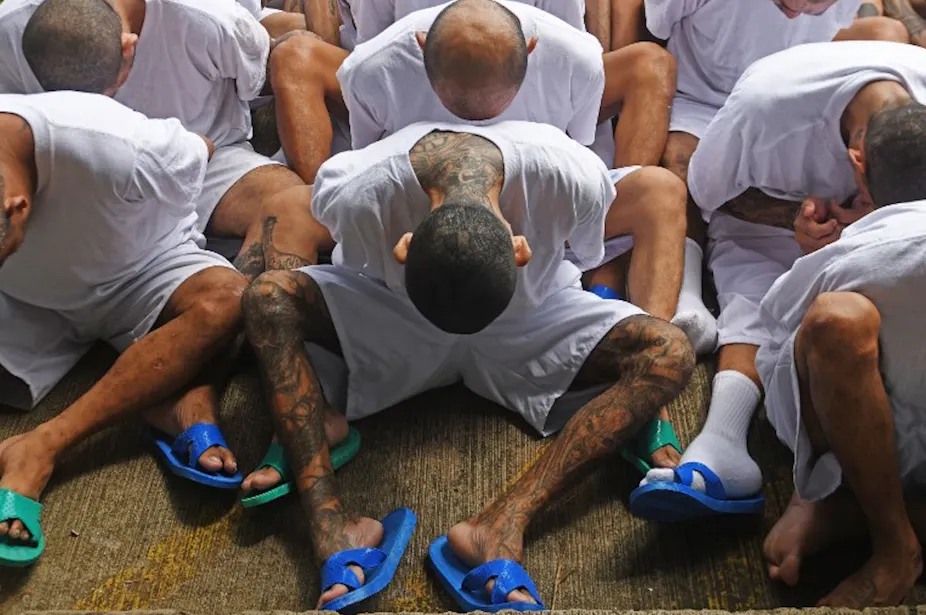 What Gangs Tell Us About The World We Live In