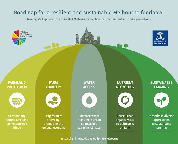 To protect fresh food supplies, here are the key steps to secure city foodbowls