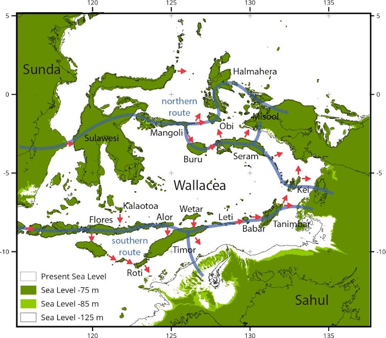 the first people to arrive in Australia came in large numbers, and on purpose