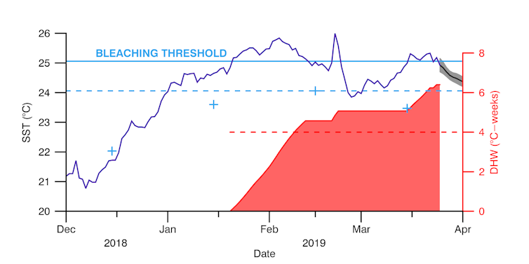 Bleaching has struck the southernmost coral reef in the world