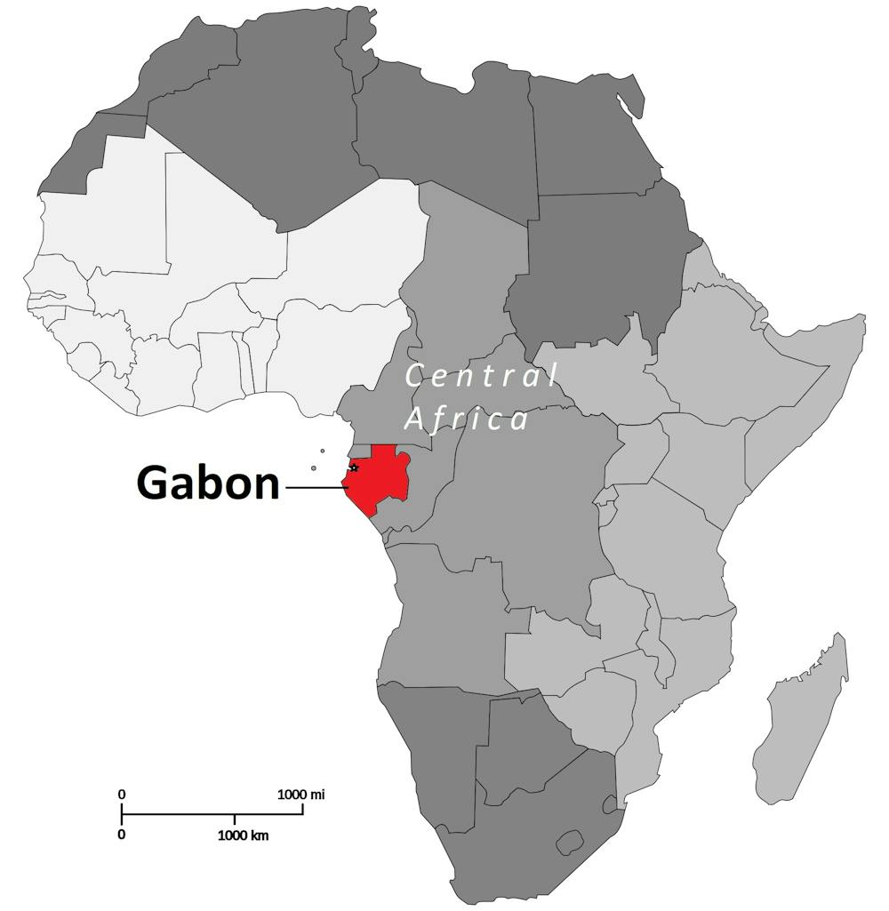 As Its Ruling Dynasty Withers Gabon A Us Ally And Guardian Of French Influence In Africa Ponders Its Future Gabon On Map Of Africa