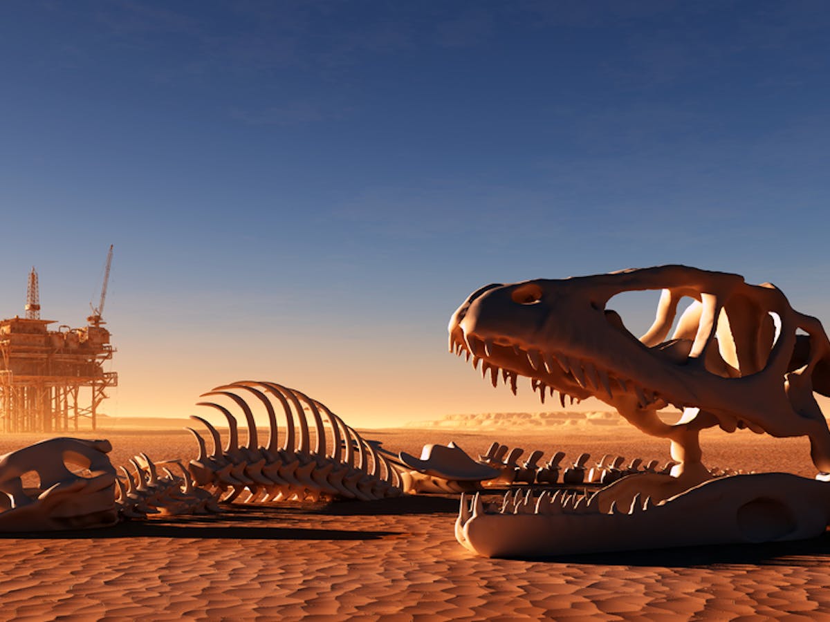 Allons Nous Connaitre Le Meme Sort Que Les Dinosaures Allons Nous Connaitre Le Meme Sort Que Les Dinosaures