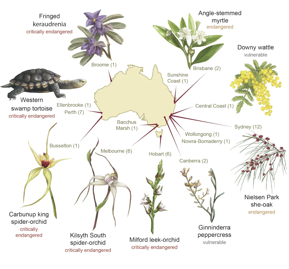 The 39 Endangered Species In Melbourne Sydney Adelaide And Other the-39-endangered-species-in-melbourne-sydney-adelaide-and-other