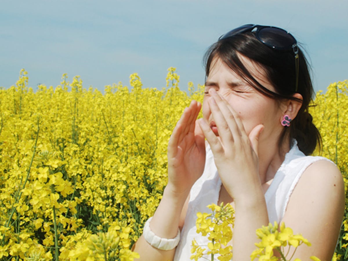 Pollen Is Getting Worse But You Can Make Things Better With These Tips From An Allergist Pollen Is Getting Worse But You Can Make Things Better With These Tips From An Allergist