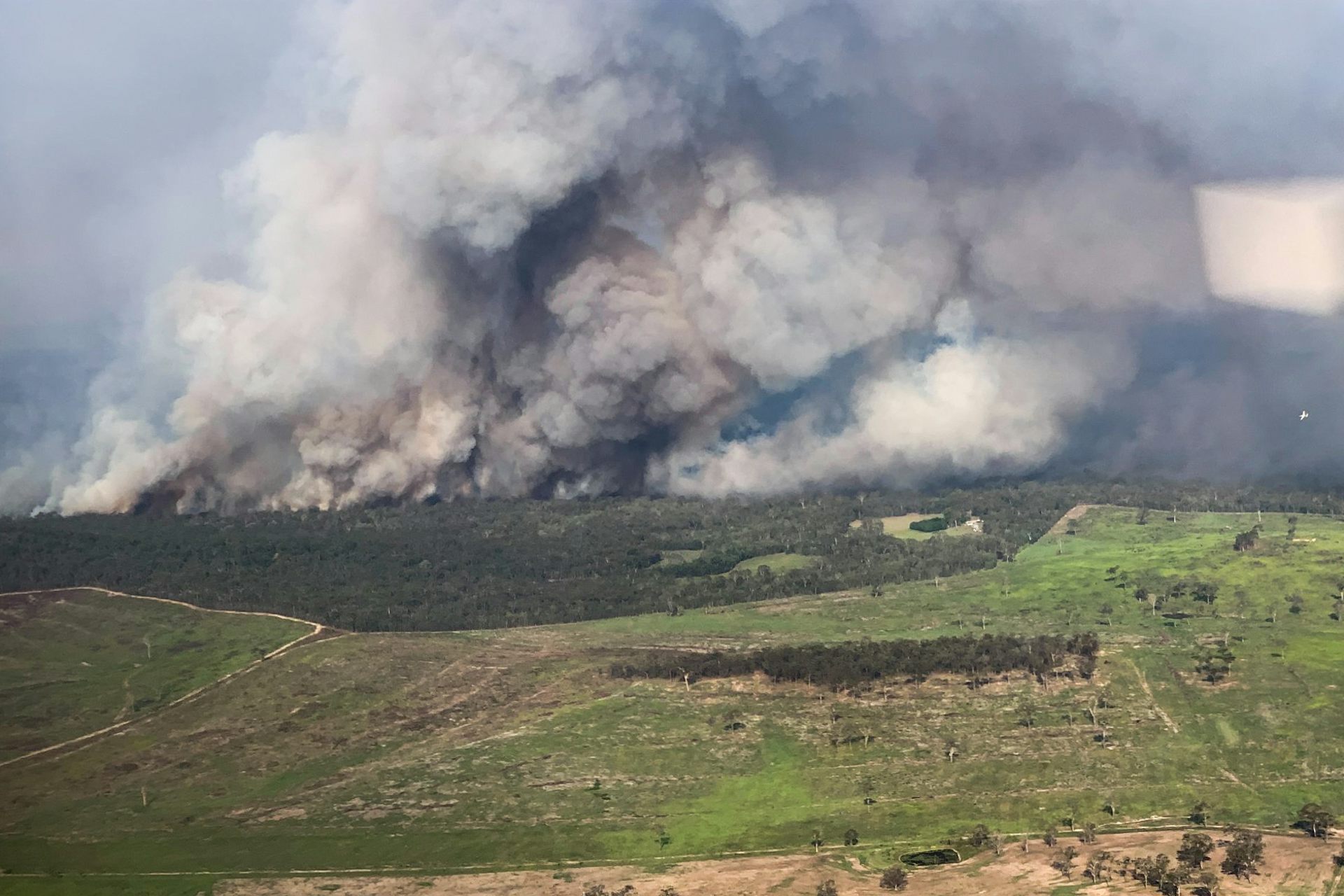 Explainer back burning and fuel reduction