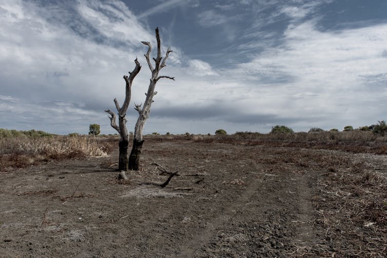 a dreadful year that demands action
