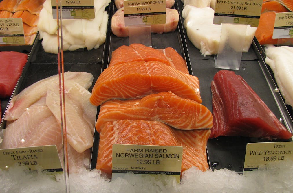 the sustainable vegetables that thrive on a diet of fish poo