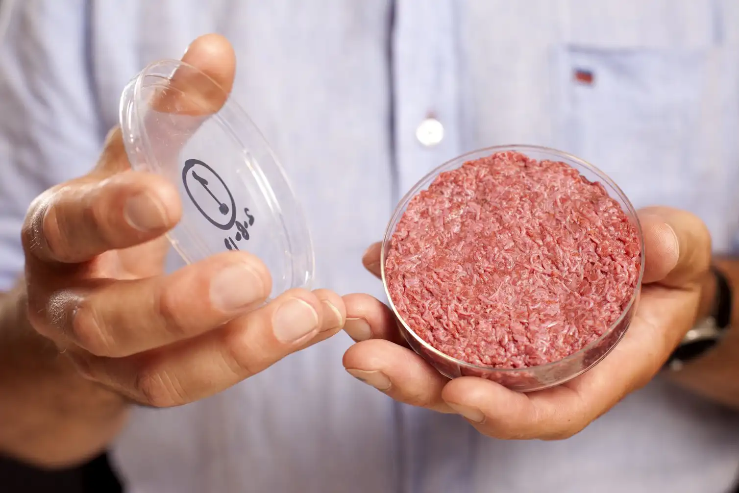 Toddmomy Modèle Simulation Viande Bœuf - Faux Steak Et Hamburger Réaliste En Plastique