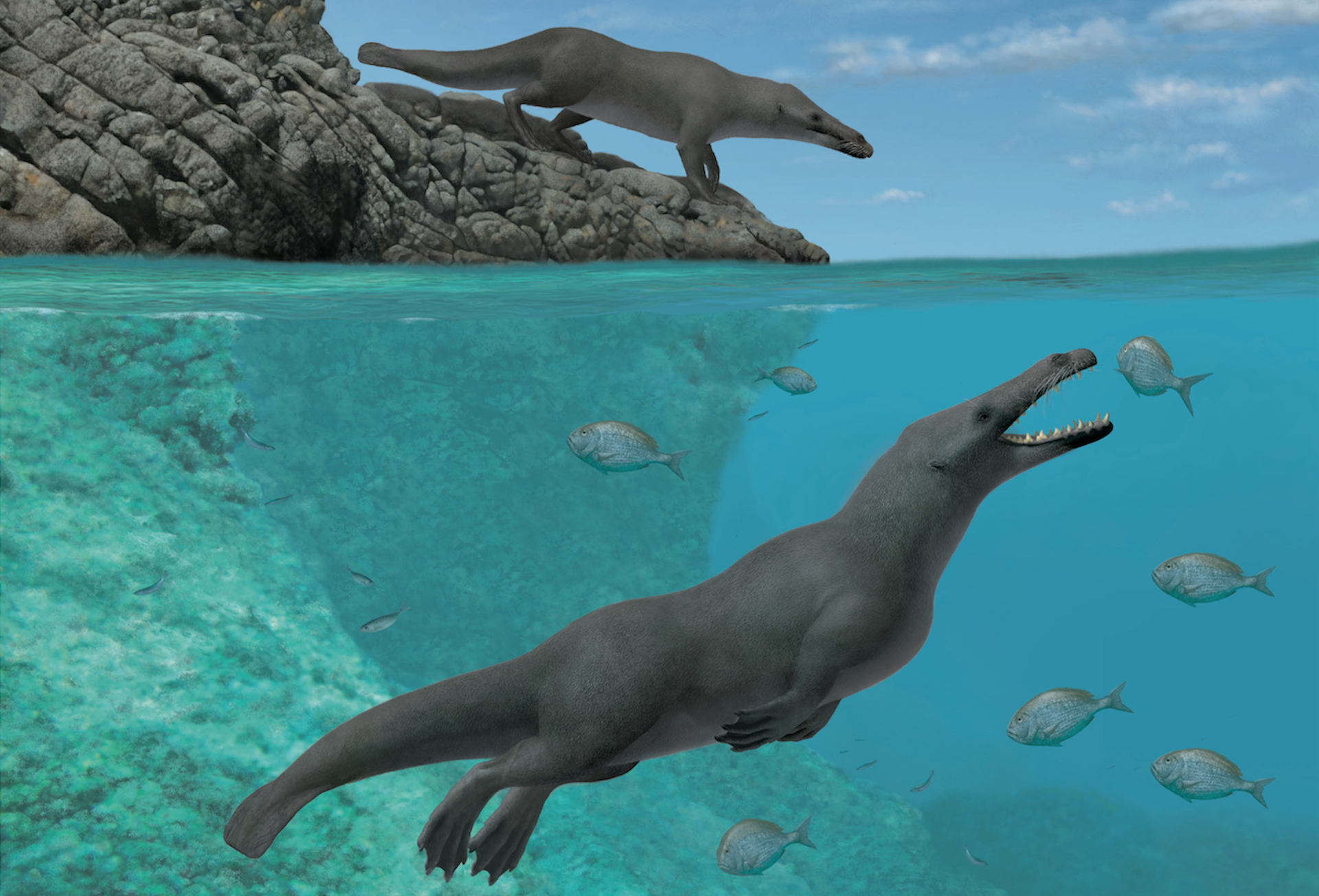 Ancient Four-legged Whales Once Roamed Land And Sea