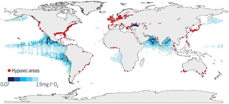 How is climate change affecting fishes? There are clues inside their ears