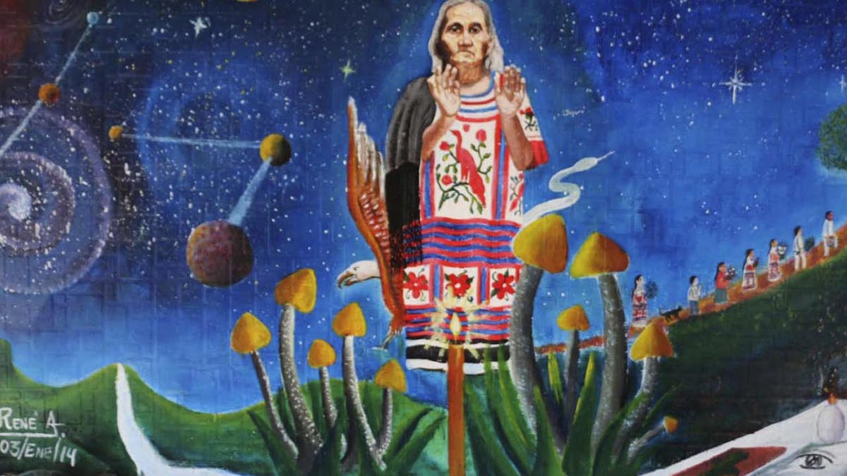 Discovering Hallucinogenic Mushrooms In Mexico