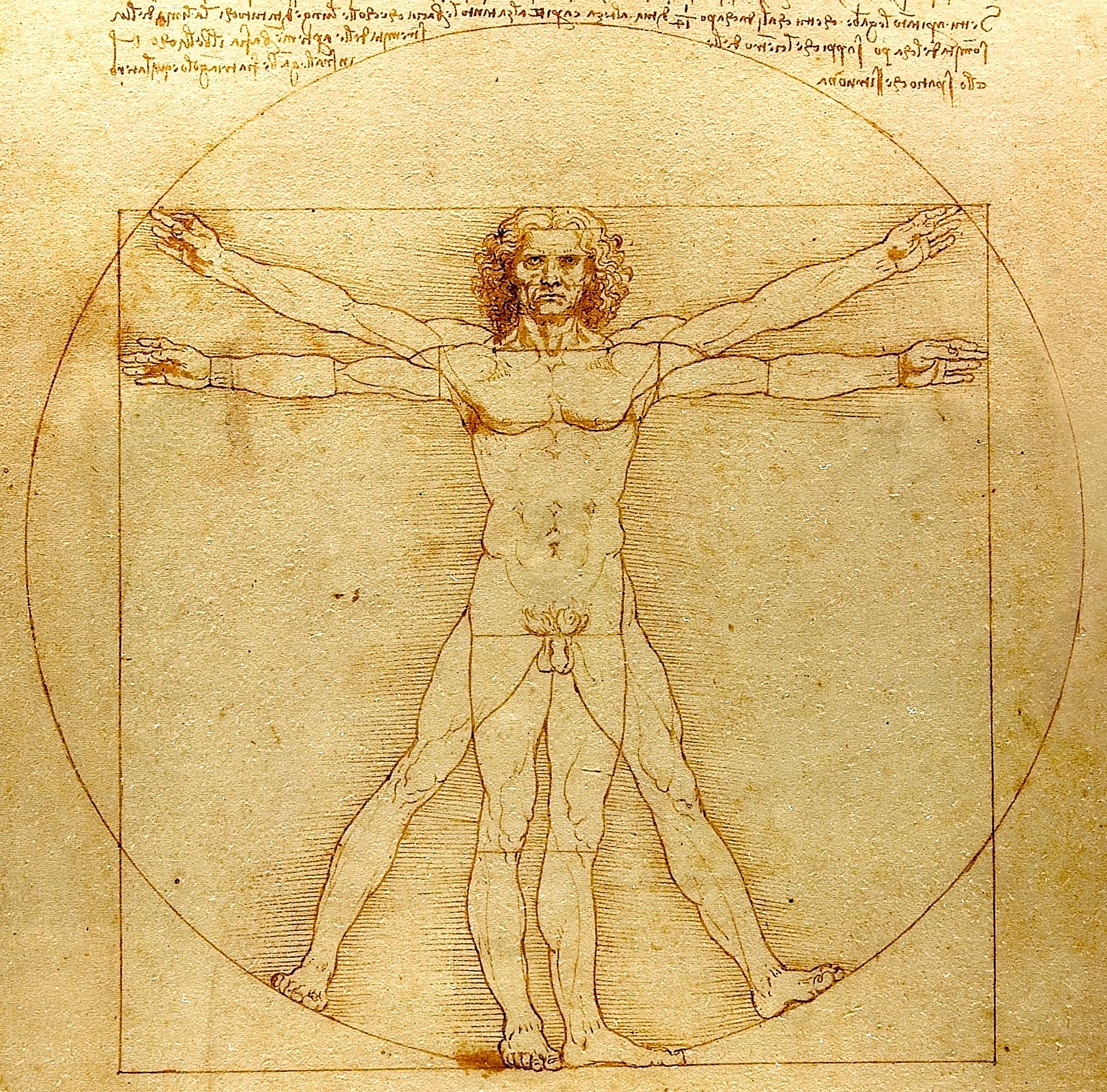 8 Things You May Not Know About Leonardo Da Vinci, On The 500th ...