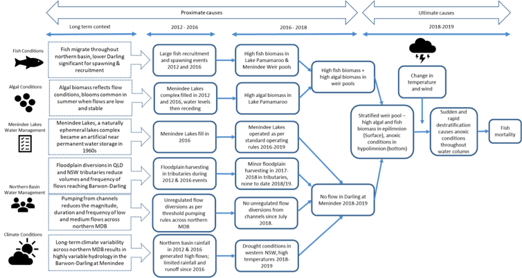 We wrote the report for the minister on fish deaths in the lower Darling – here's why it could happen again
