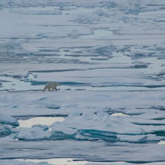 research paper about oil exploration