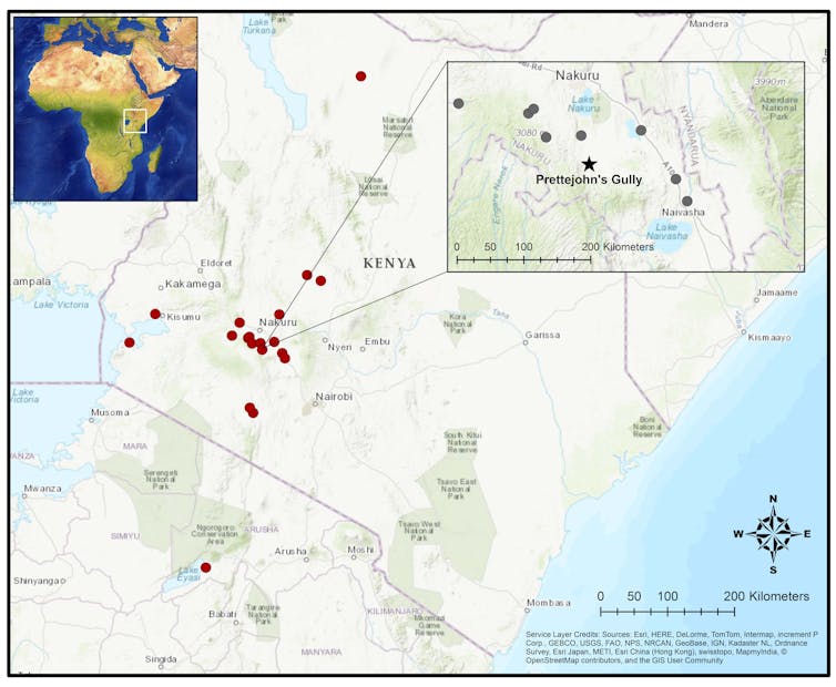 Ancient DNA is revealing the origins of livestock herding in Africa