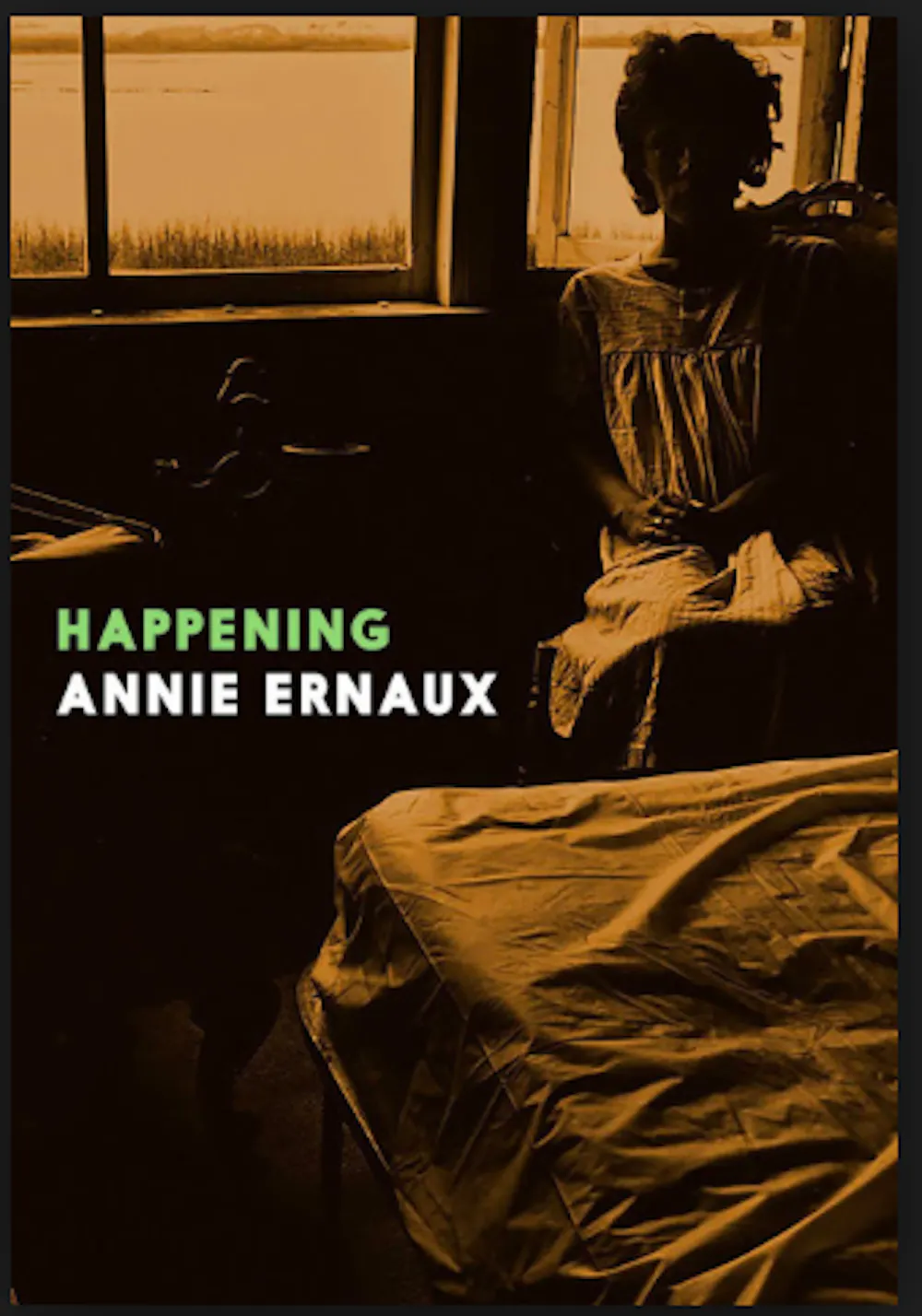 Les Armoires Vides Annie Ernaux Pdf at Kenneth Locke blog