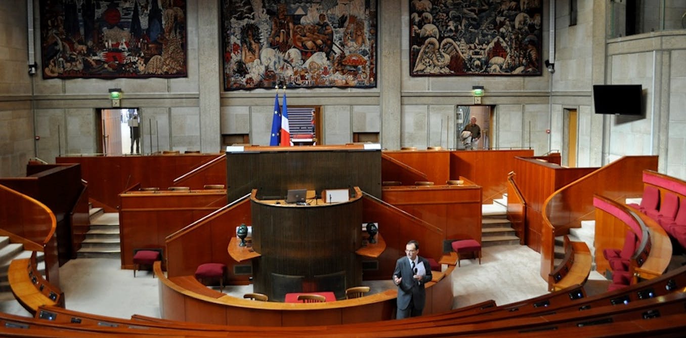 Le Conseil économique, social et environnemental une institution