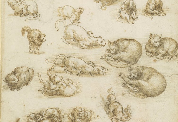 File 20190409 2914 wvj6kc.jpg?ixlib=rb 1.1