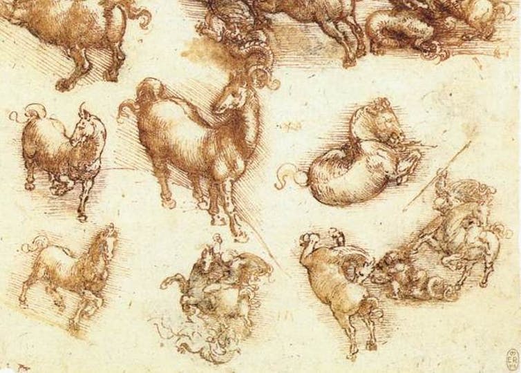 Leonardo da Vinci saw in animals the ‘image of the world’