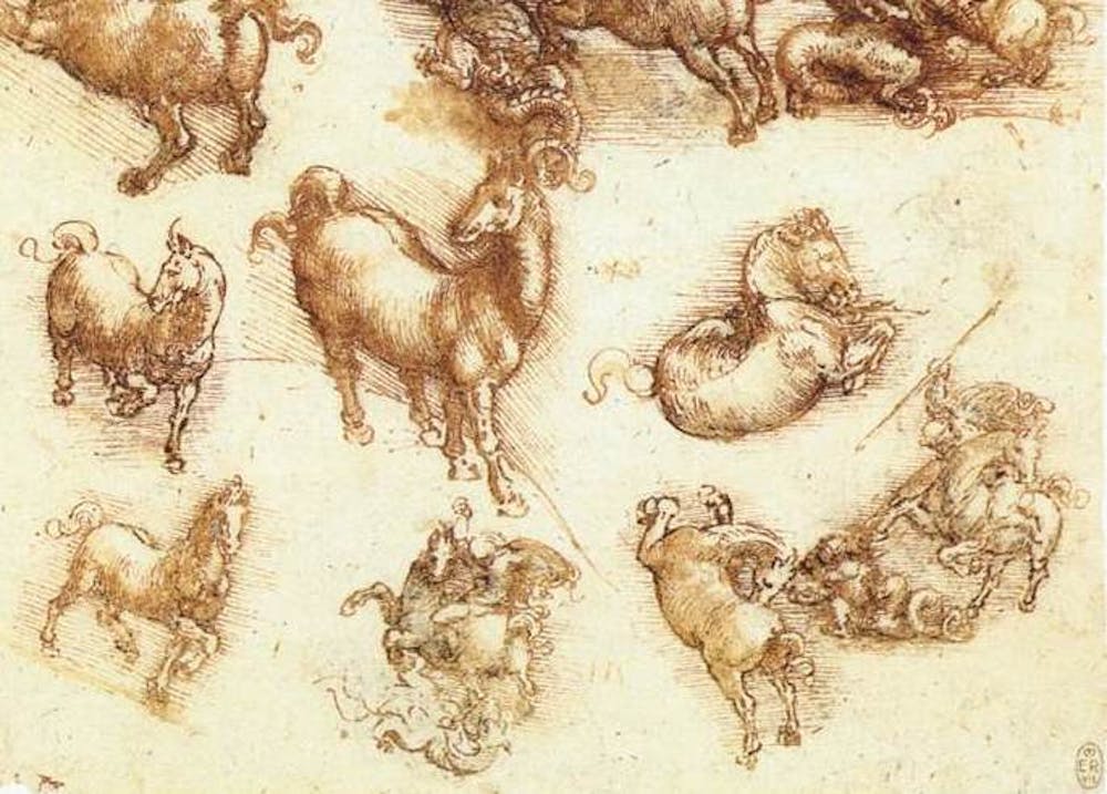 Leonardo da Vinci saw in animals the 'image of the world'