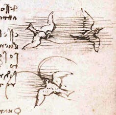 Leonardo da Vinci saw in animals the ‘image of the world’