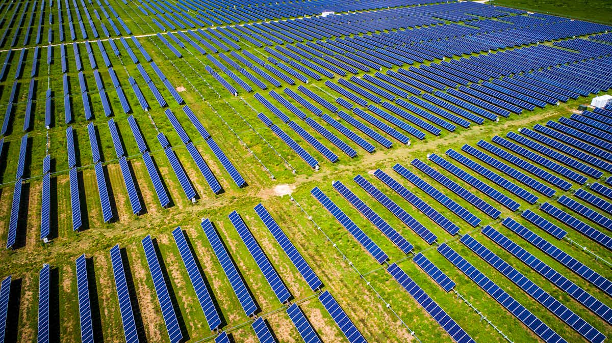 Surviving climate change means transforming both economics and design