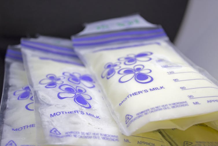 File 20190410 2901 k2szwd.jpg?ixlib=rb 1.1