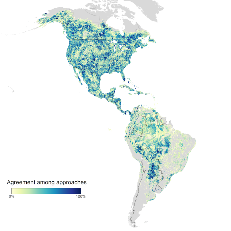 How birders helped pinpoint hotspots for migratory bird conservation