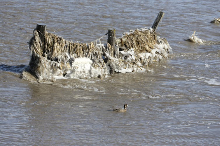 The dirt on soil loss from the Midwest floods