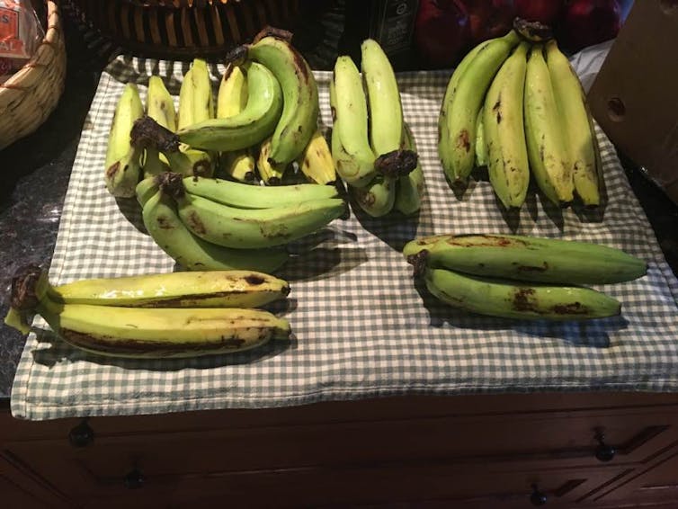 You might never be quite sure what to expect when you peeled a banana