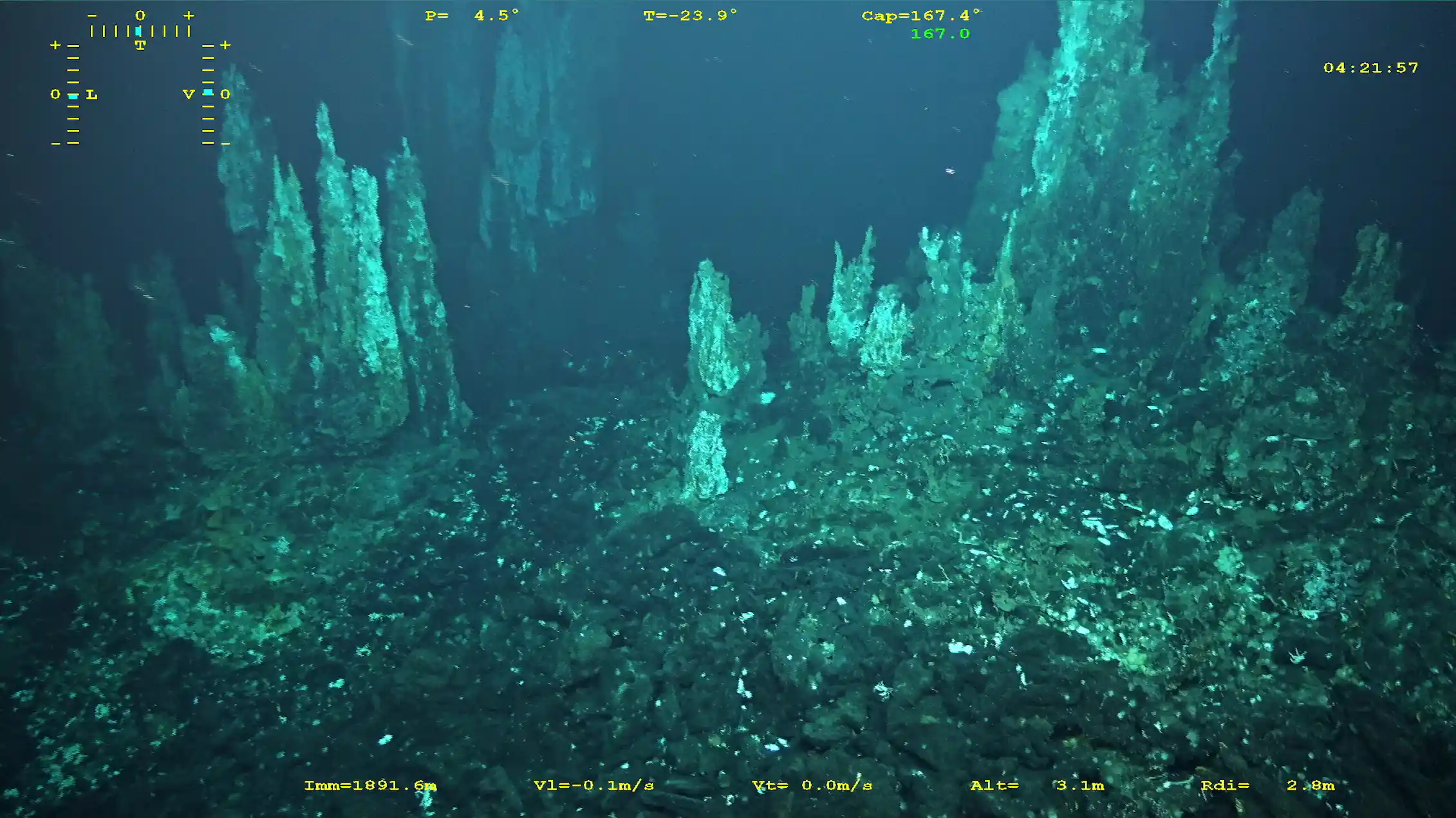Abysses Localisation Des oasis de vie dans les abysses : la faune hydrothermale du Pacifique ...