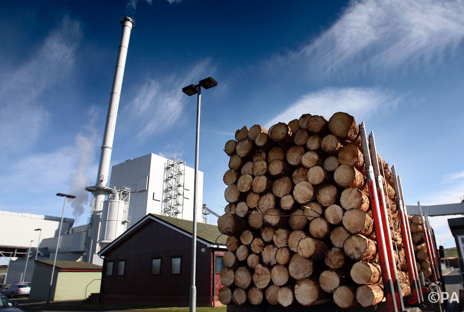 if we burn wood for energy we can t have our cake and eat it