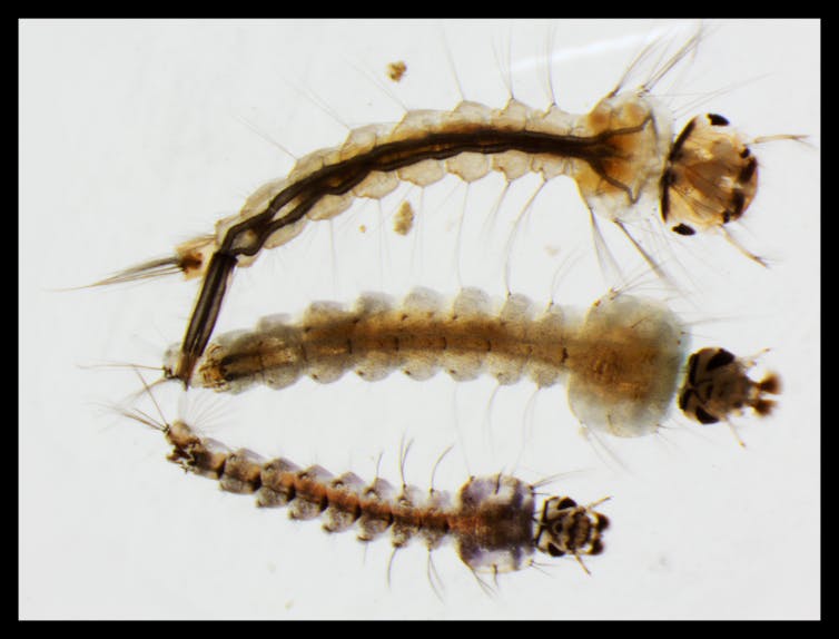 File 20190418 28100 hd3kcv.jpg?ixlib=rb 1.1