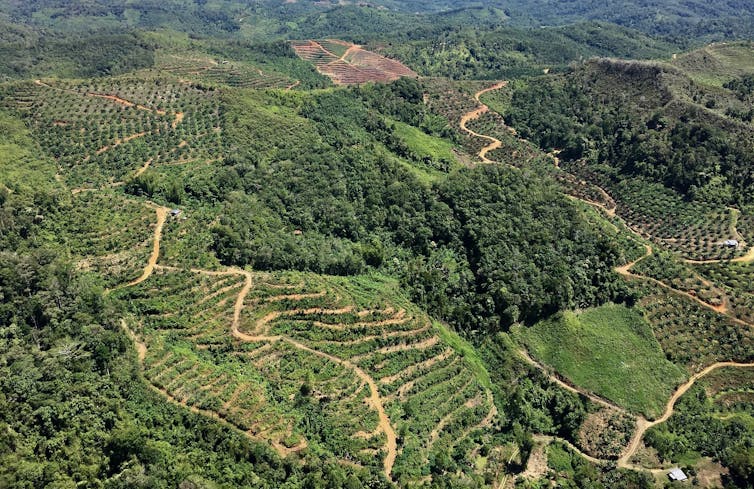 File 20190418 28097 1ua211e.jpg?ixlib=rb 1.1