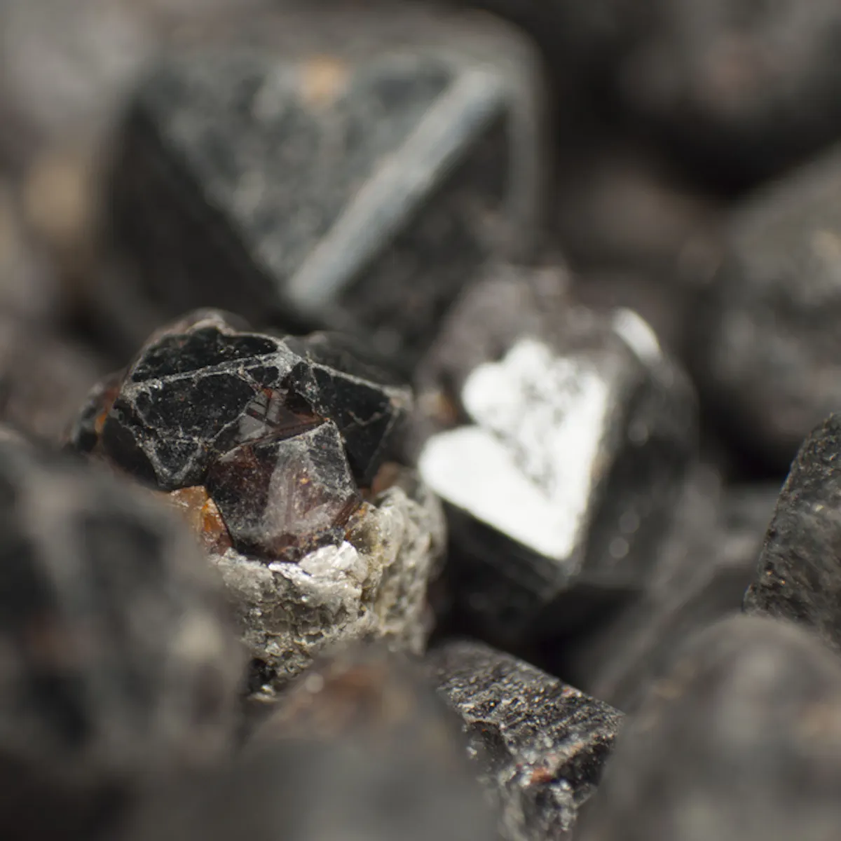 Sejarah Timah Ubah Peradaban Manusia Dari Era Perunggu Hingga Kaleng Makanan