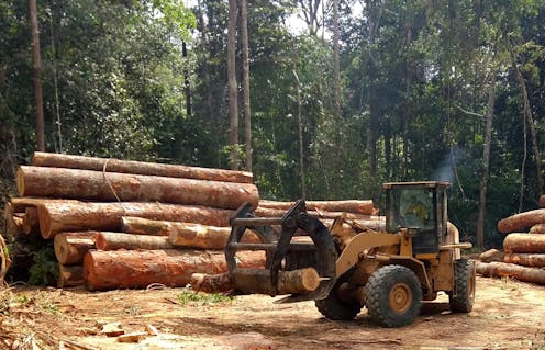 Message To The Eu You Have The Chance To Stop Fuelling Devastation In The Amazon Message To The Eu You Have The Chance To Stop Fuelling Devastation In The Amazon