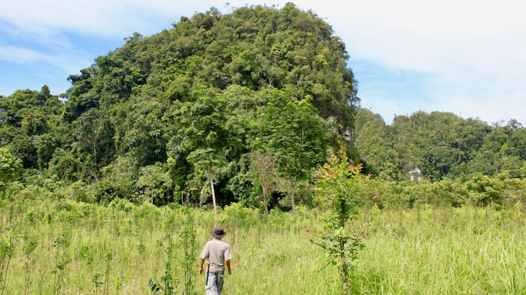 Bat and bird poo can tell you a lot about ancient landscapes in Southeast Asia