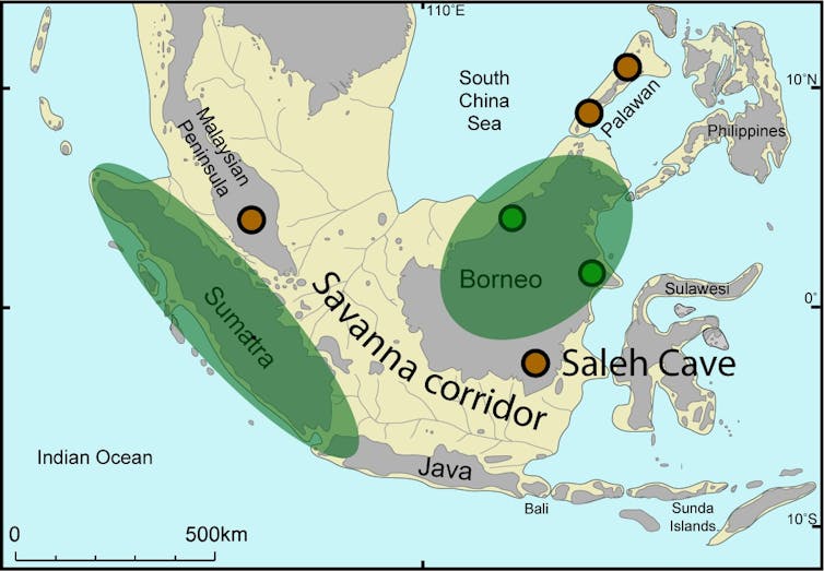 Bat and bird poo can tell you a lot about ancient landscapes in Southeast Asia