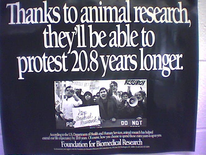 the controversy surrounding animal experimentation the controversy surrounding animal experimentation