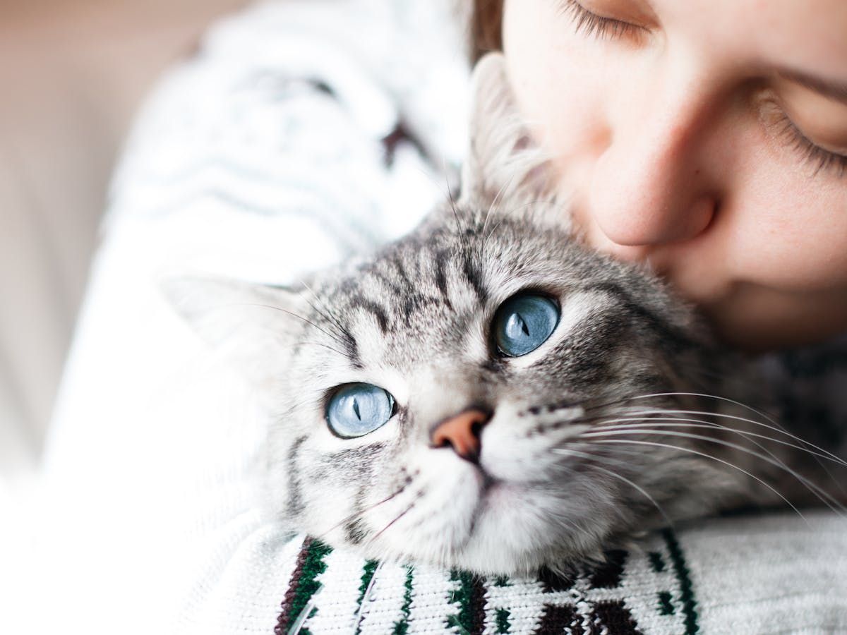 Pets Is It Ethical To Keep Them