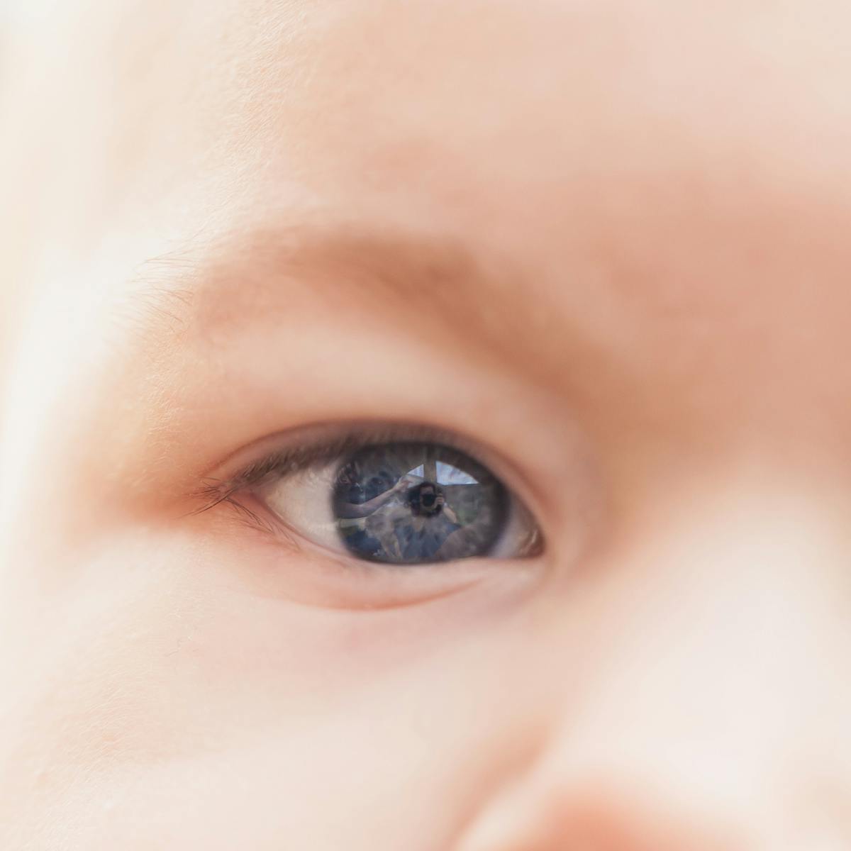 Dossier Tout Comprendre De L Affaire Dite Des Bebes Sans Bras Dossier Tout Comprendre De L Affaire Dite Des Bebes Sans Bras