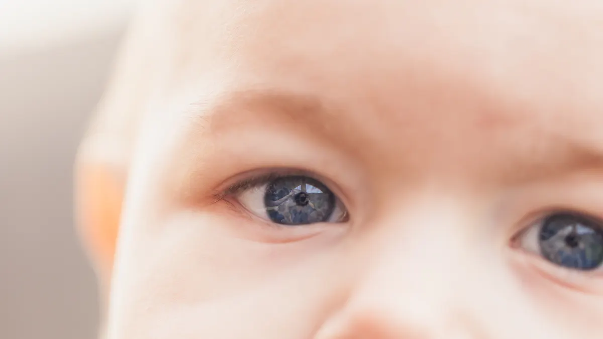 Dossier Tout Comprendre De L Affaire Dite Des Bebes Sans Bras Dossier Tout Comprendre De L Affaire Dite Des Bebes Sans Bras