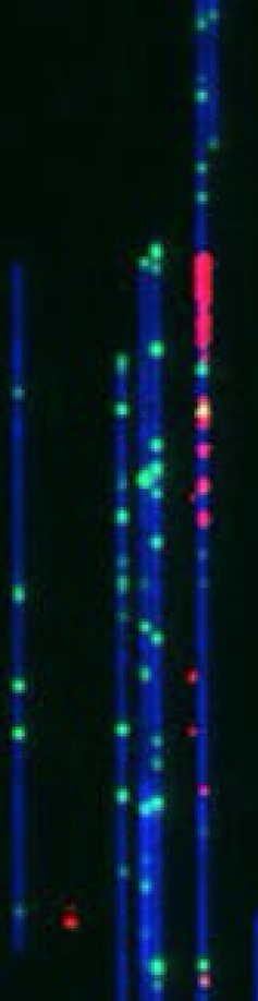 DNA as you've never seen it before, thanks to a new nanotechnology imaging method