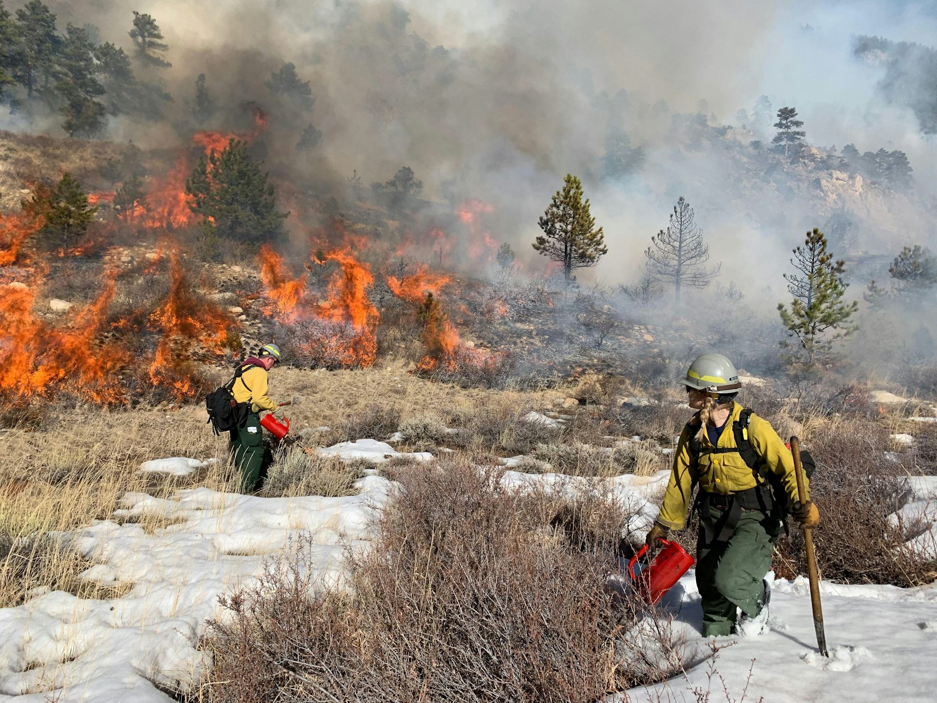 Planned Burns Can Reduce Wildfire Risks, But Expanding Use Of ‘good ...