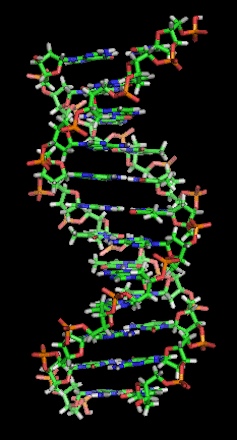 DNA as you've never seen it before, thanks to a new nanotechnology imaging method